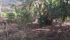 WhatsApp Image 2025-03-11 at 16.17.49 (2).jpeg